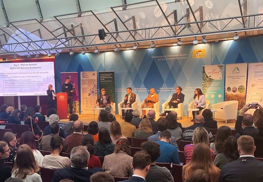 HABITABLE Project showcased as a flagship initiative at European wood sector conference in Brussels